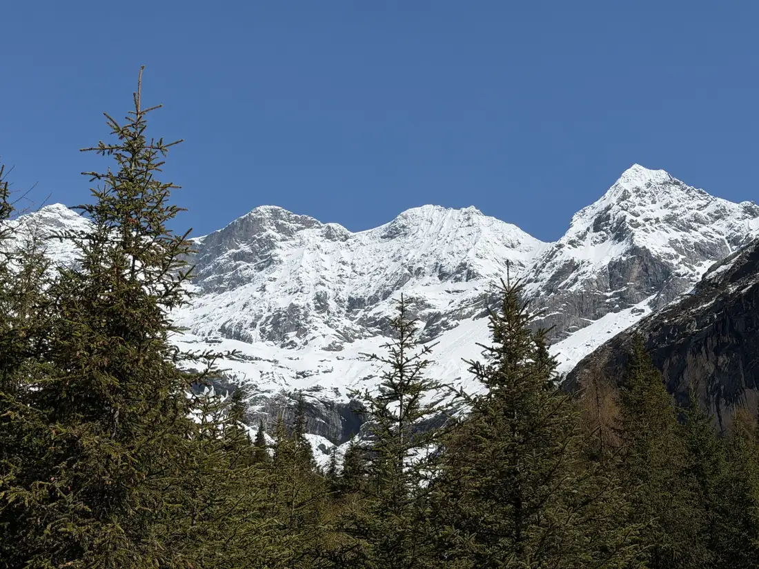 Montañas nevadas y bosques en la zona de Siguniangshan.