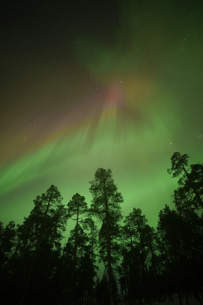 Auroras boreales